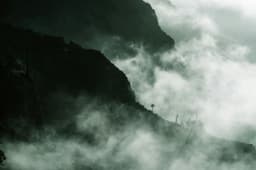 cover 2